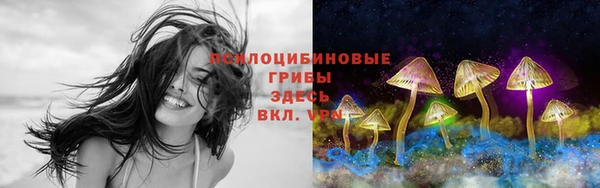 ECSTASY Новозыбков