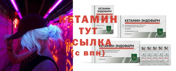 ECSTASY Новозыбков