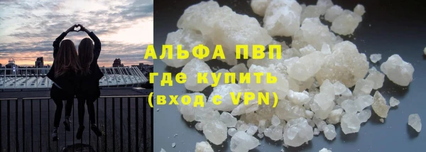 ECSTASY Новозыбков