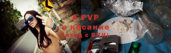 ECSTASY Новозыбков