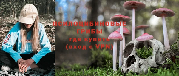 марки nbome Новодвинск
