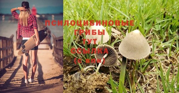 mix Новокубанск