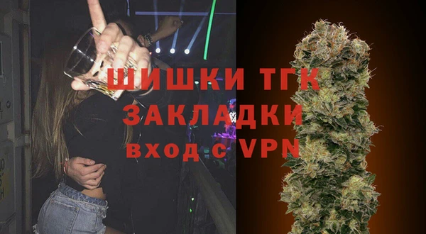 ECSTASY Новозыбков