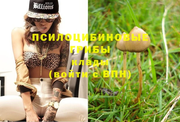 ECSTASY Новозыбков