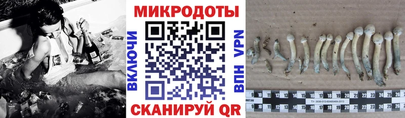 Галлюциногенные грибы GOLDEN TEACHER  OMG tor  Красноармейск 