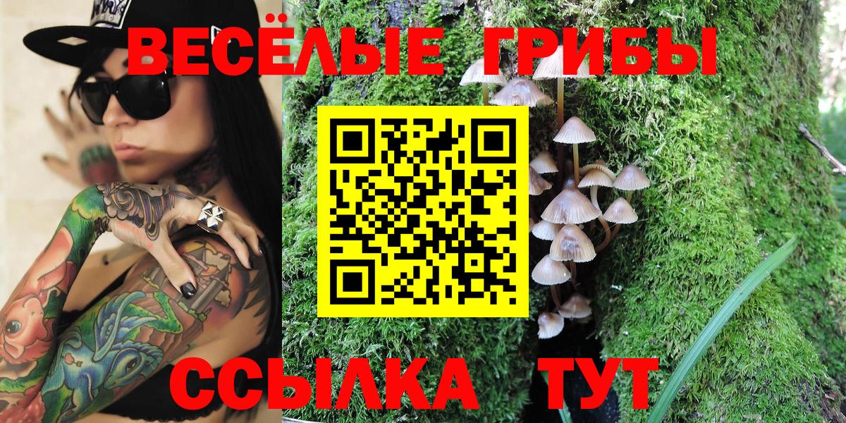 Красноармейск  Псилоцибиновые грибы мухоморы  купить  цена  Вход с VPN 