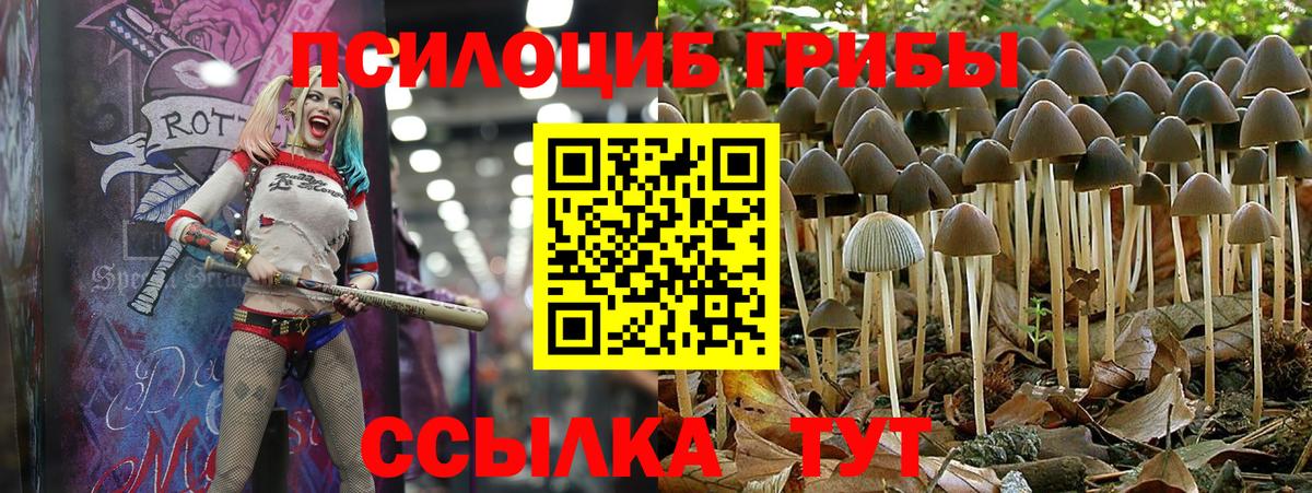 Галлюциногенные грибы GOLDEN TEACHER Красноармейск